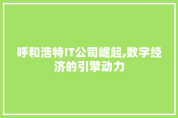 呼和浩特IT公司崛起,数字经济的引擎动力