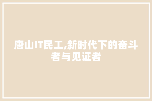 唐山IT民工,新时代下的奋斗者与见证者