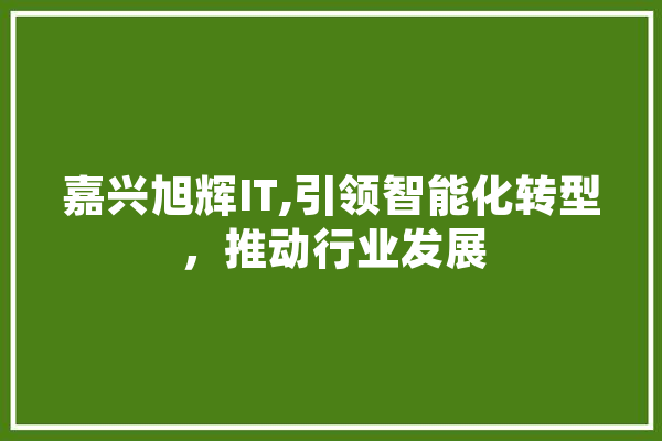 嘉兴旭辉IT,引领智能化转型，推动行业发展