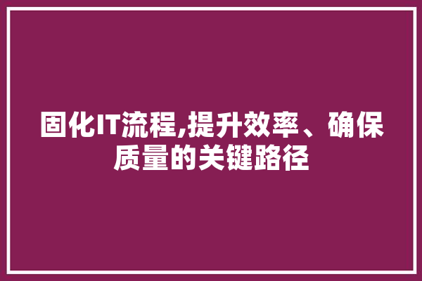 固化IT流程,提升效率、确保质量的关键路径