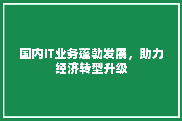 国内IT业务蓬勃发展，助力经济转型升级