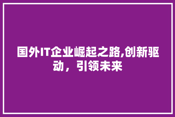 国外IT企业崛起之路,创新驱动，引领未来