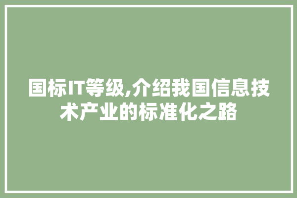 国标IT等级,介绍我国信息技术产业的标准化之路 绘影字幕
