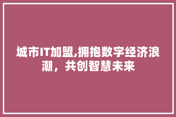城市IT加盟,拥抱数字经济浪潮，共创智慧未来