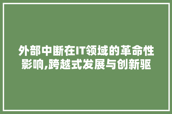 外部中断在IT领域的革命性影响,跨越式发展与创新驱动 科技快讯