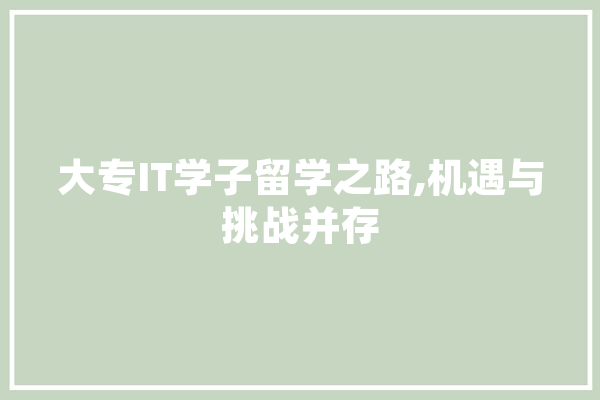 大专IT学子留学之路,机遇与挑战并存