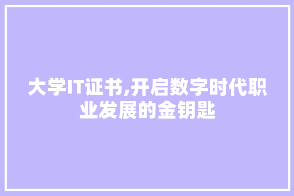 大学IT证书,开启数字时代职业发展的金钥匙
