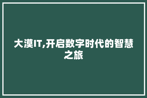 大漠IT,开启数字时代的智慧之旅