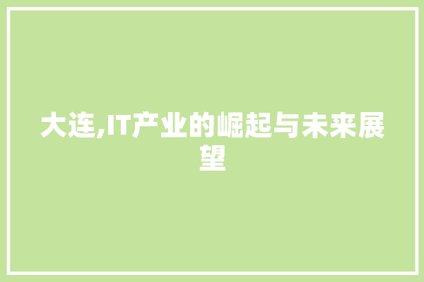 大连,IT产业的崛起与未来展望