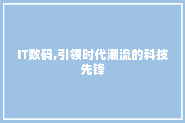 IT数码,引领时代潮流的科技先锋 云服务
