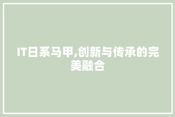 IT日系马甲,创新与传承的完美融合