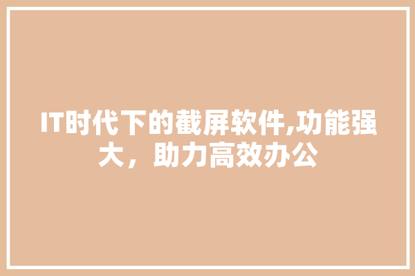 IT时代下的截屏软件,功能强大，助力高效办公