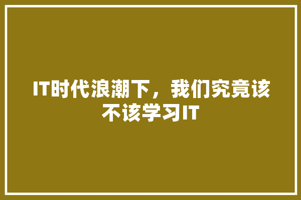 IT时代浪潮下，我们究竟该不该学习IT