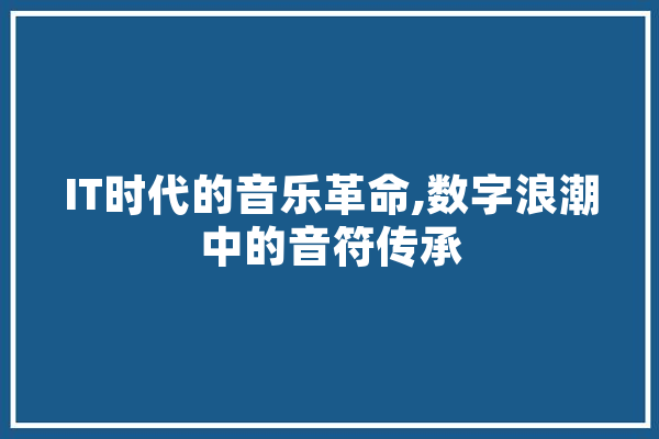 IT时代的音乐革命,数字浪潮中的音符传承