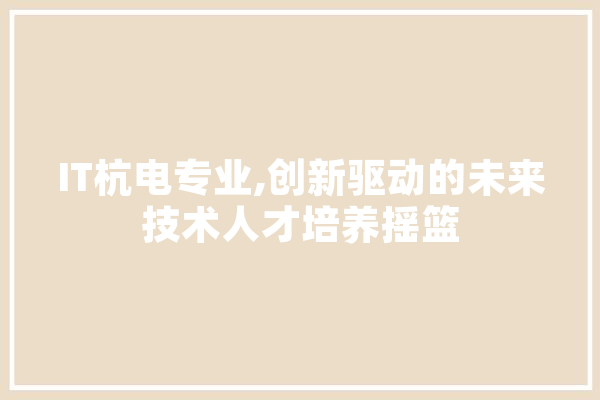 IT杭电专业,创新驱动的未来技术人才培养摇篮