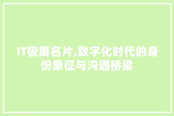 IT极简名片,数字化时代的身份象征与沟通桥梁