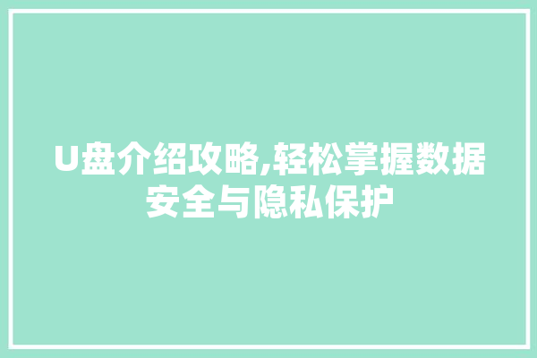U盘介绍攻略,轻松掌握数据安全与隐私保护