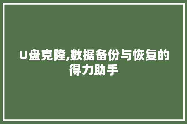 U盘克隆,数据备份与恢复的得力助手