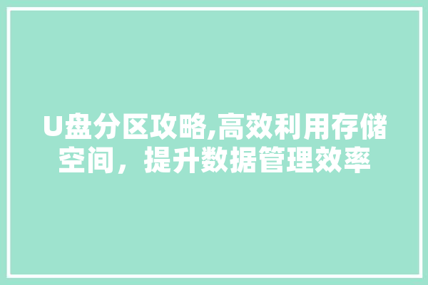 U盘分区攻略,高效利用存储空间，提升数据管理效率
