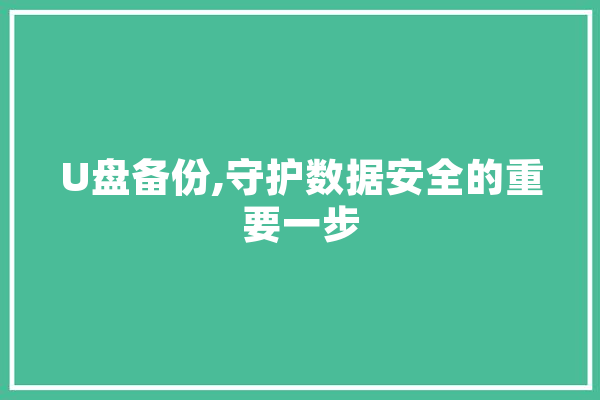 U盘备份,守护数据安全的重要一步 绘影字幕