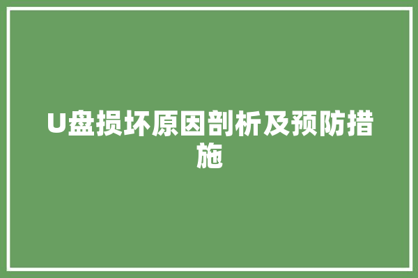 U盘损坏原因剖析及预防措施 云服务