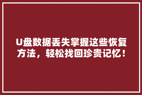 U盘数据丢失掌握这些恢复方法，轻松找回珍贵记忆！