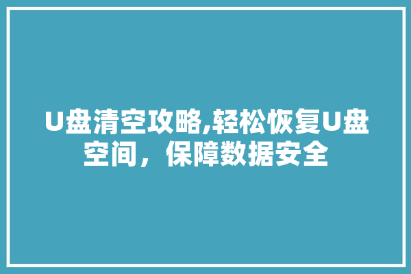 U盘清空攻略,轻松恢复U盘空间，保障数据安全