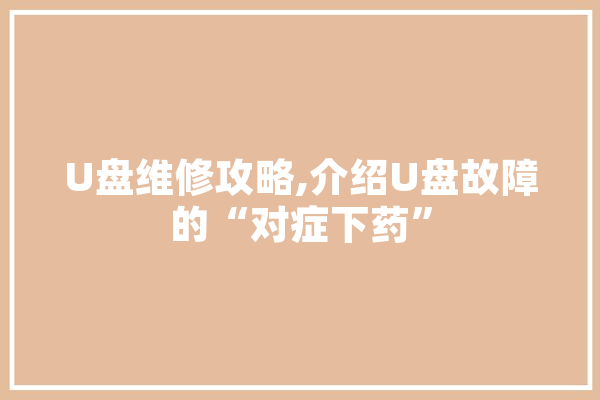 U盘维修攻略,介绍U盘故障的“对症下药”