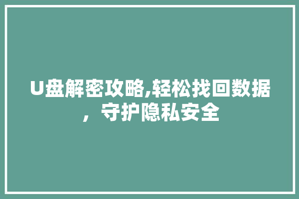 U盘解密攻略,轻松找回数据，守护隐私安全