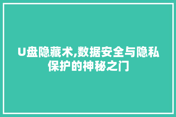 U盘隐藏术,数据安全与隐私保护的神秘之门 云服务