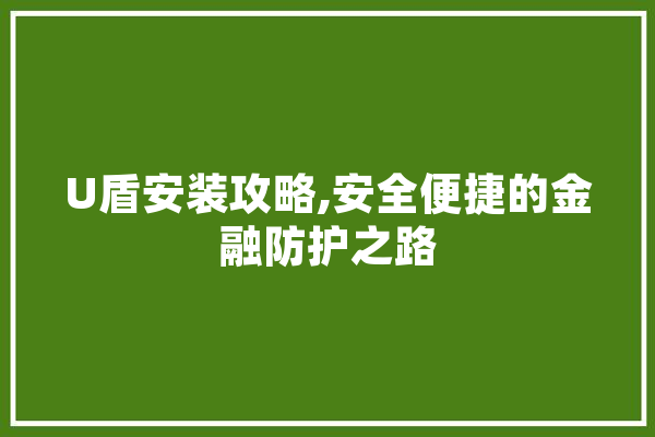U盾安装攻略,安全便捷的金融防护之路 智能写作