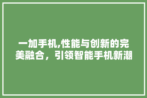 一加手机,性能与创新的完美融合，引领智能手机新潮流 文字写作