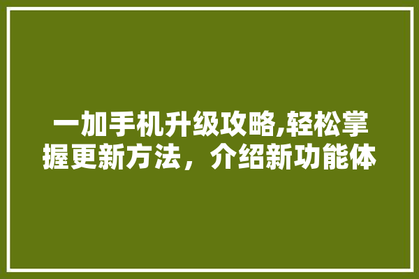 一加手机升级攻略,轻松掌握更新方法，介绍新功能体验