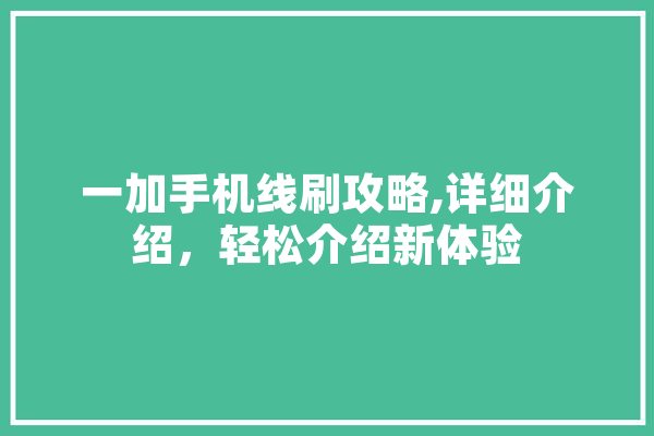 一加手机线刷攻略,详细介绍，轻松介绍新体验 文字写作