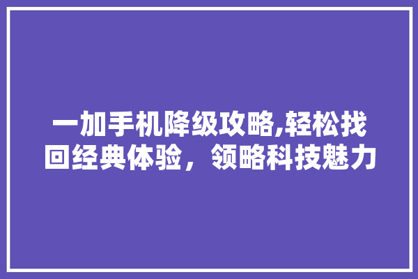 一加手机降级攻略,轻松找回经典体验，领略科技魅力 绘影字幕