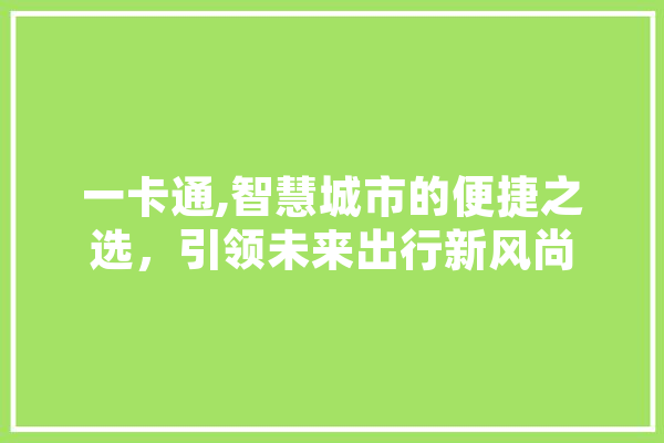 一卡通,智慧城市的便捷之选，引领未来出行新风尚
