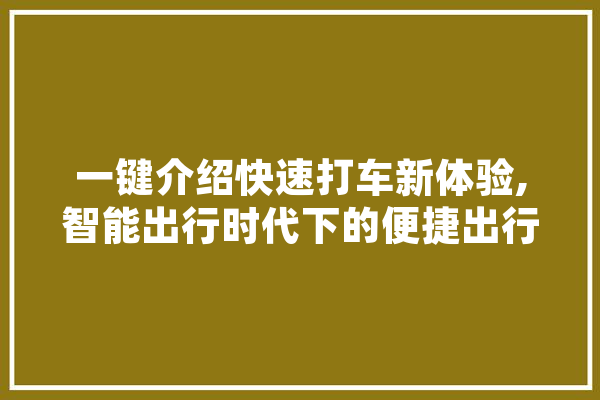 一键介绍快速打车新体验,智能出行时代下的便捷出行之路