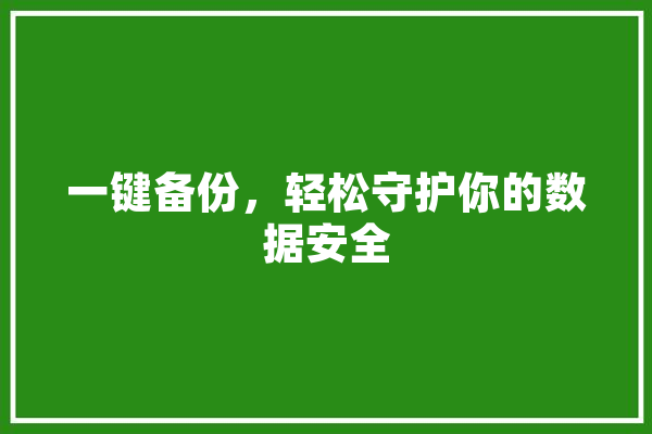 一键备份，轻松守护你的数据安全