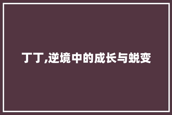 丁丁,逆境中的成长与蜕变