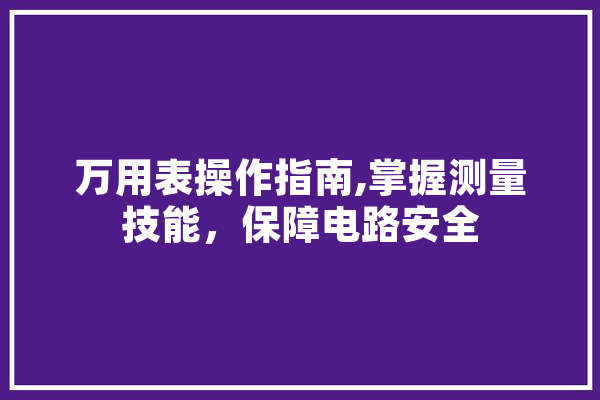 万用表操作指南,掌握测量技能，保障电路安全