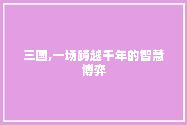 三国,一场跨越千年的智慧博弈 计算机