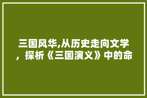 三国风华,从历史走向文学，探析《三国演义》中的命名艺术