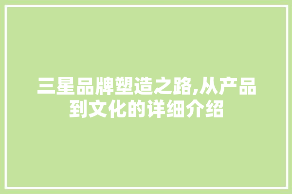 三星品牌塑造之路,从产品到文化的详细介绍