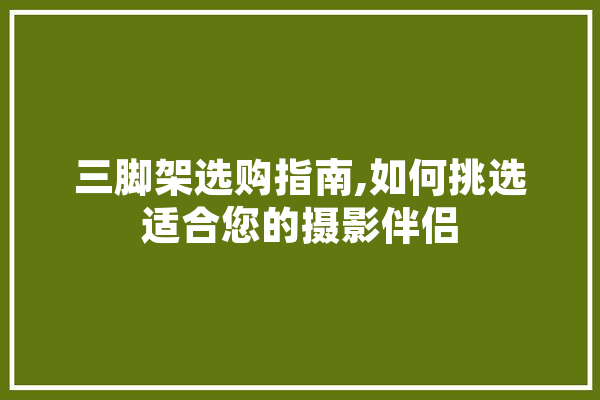 三脚架选购指南,如何挑选适合您的摄影伴侣