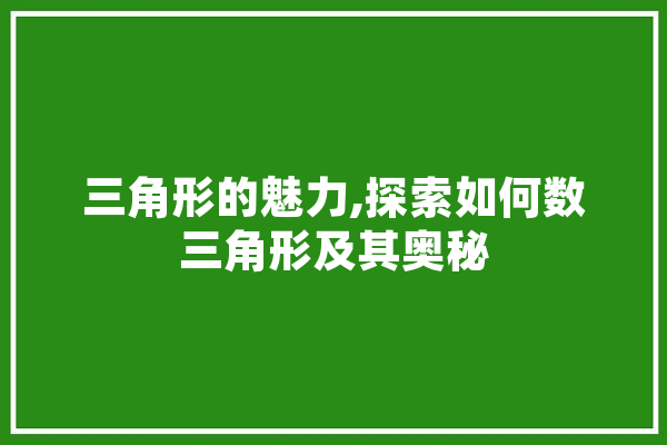 三角形的魅力,探索如何数三角形及其奥秘