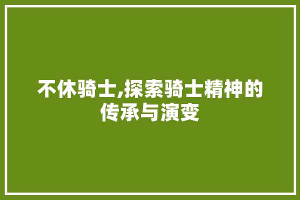 不休骑士,探索骑士精神的传承与演变
