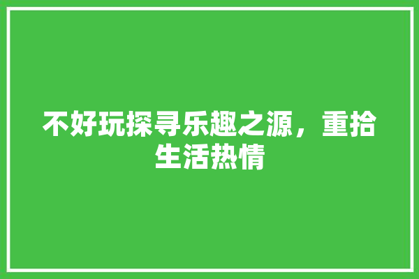 不好玩探寻乐趣之源，重拾生活热情 绘影字幕