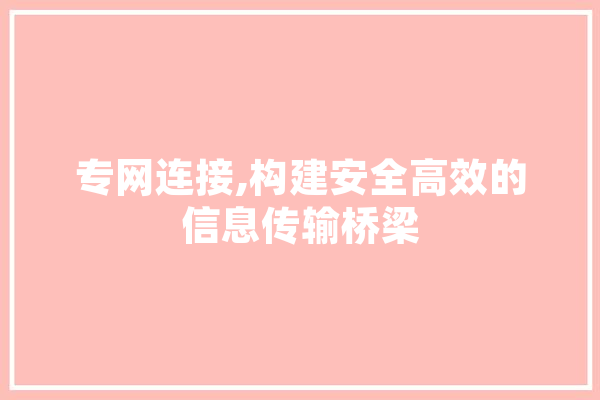 专网连接,构建安全高效的信息传输桥梁