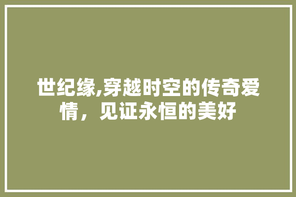 世纪缘,穿越时空的传奇爱情，见证永恒的美好 科技快讯