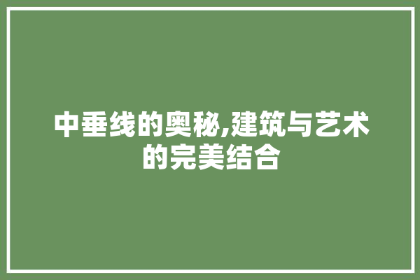 中垂线的奥秘,建筑与艺术的完美结合